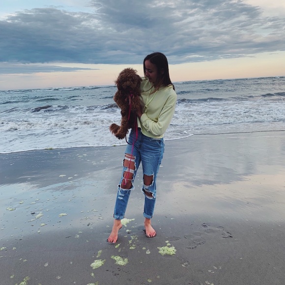 Meet your Posher, Abby - Picture 1 of 1